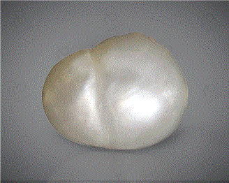  Pearl (Real) 2CTS-31037